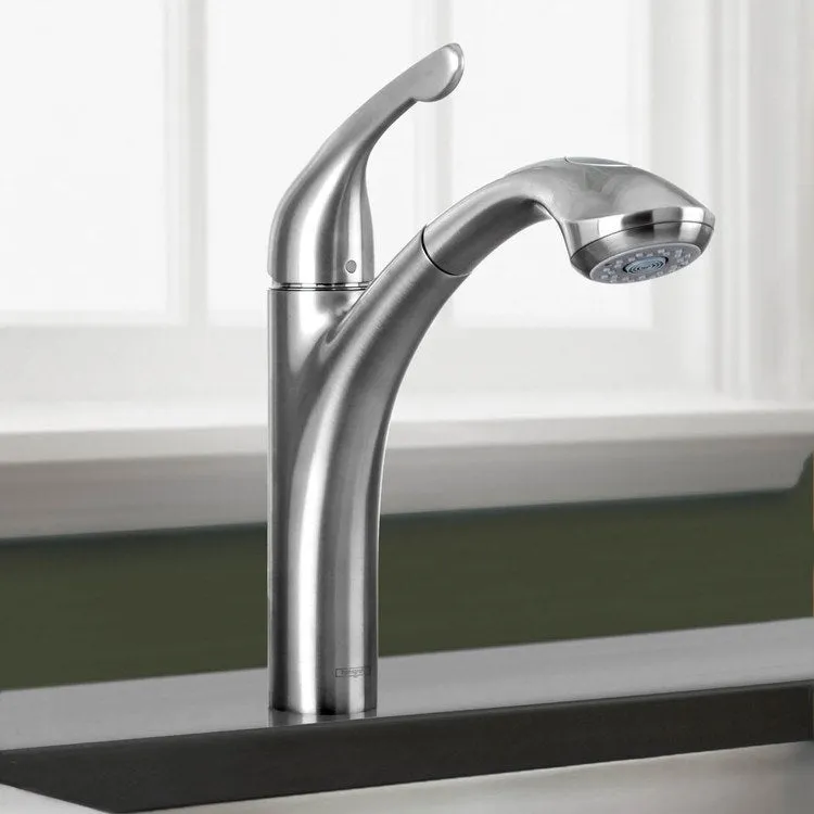Allegro E Single Handle Pull Out Kitchen Faucet