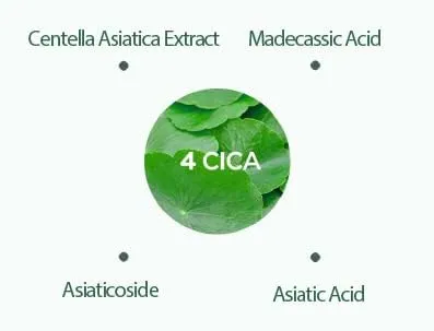 ANUA Heartleaf 70% Soothing Cream 100ml