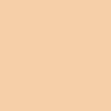 NUDE LIGHT FOUNDATION 281 Ivory